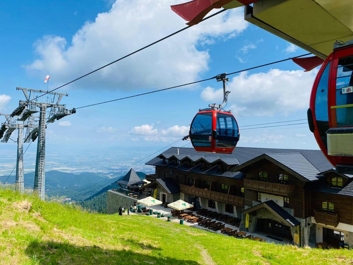 Yager Chalet Poiana Brasov Extérieur photo